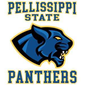 Pellissippi State has hired Abe Tizaf as its new head men&rsquo;s soccer coach.